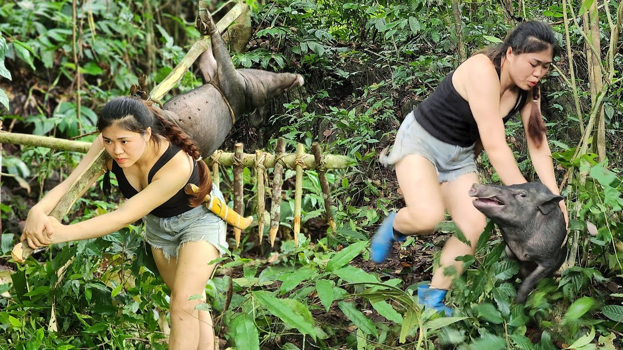 Survival alone in the wild forest - trap wild boars - search for food/Huyen bushcraft