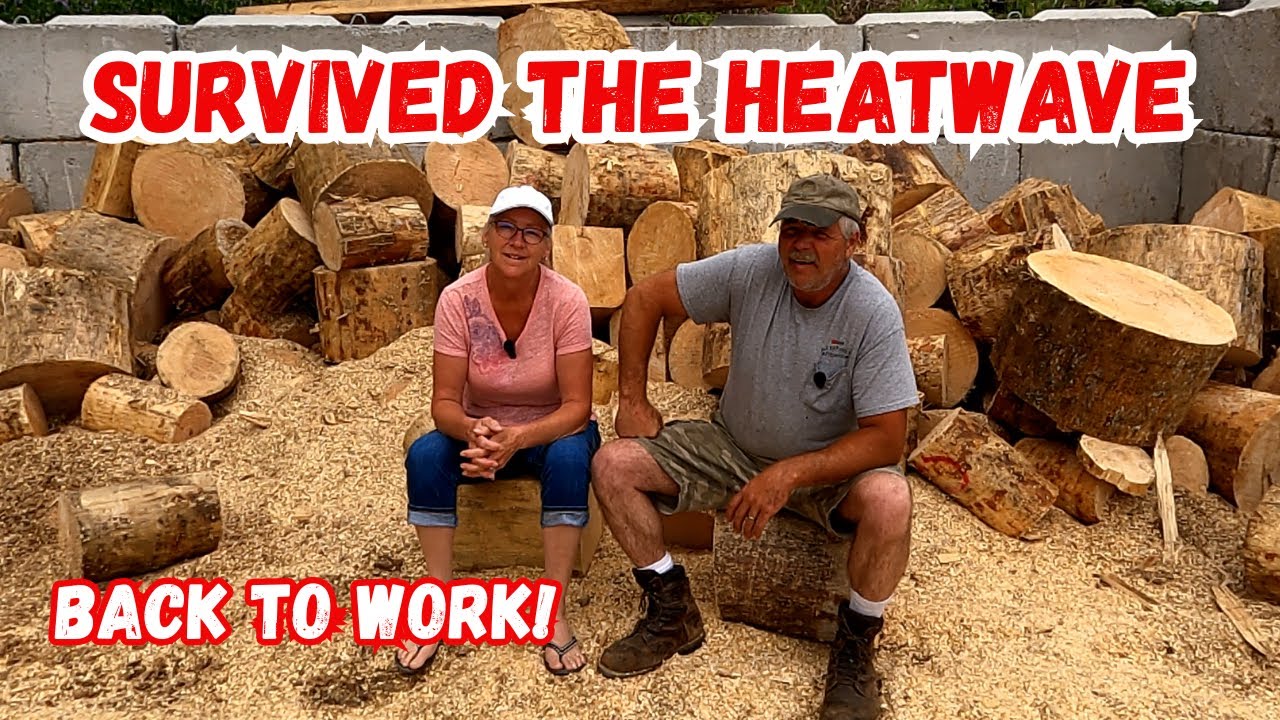 Survived the Heatwave.   Time to Get Back to Work!