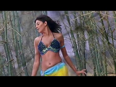 Sushmita Sen Song | Tumhe Jo Maine Dekha | Main Hoon Na | Shahrukh Khan | Romantic Song