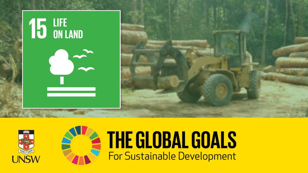 Sustainable Development Goal 15 - Life on Land - Tracey Rogers