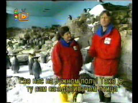 Svet crtanja Brusa Blica - 55.Razigrani oposum