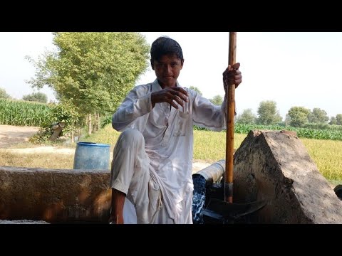 Swimming In Village Tube well || Swimming Vlog