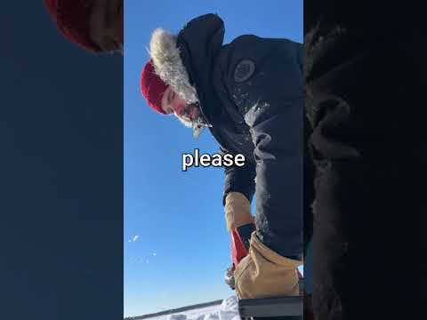 swimming under ice