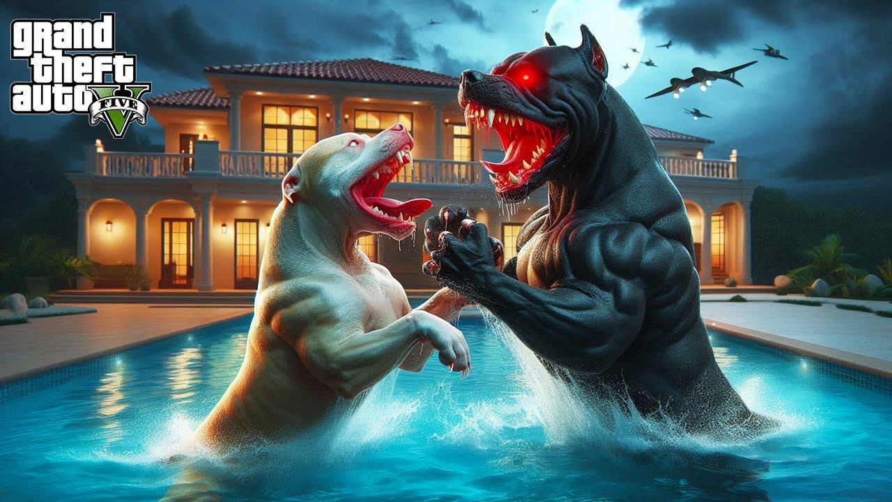 SİYAH PİTBULL TYSON AMCASI KRATOS'LA DÖVÜŞÜYOR! - GTA 5 PİTBULL'UN HAYATI