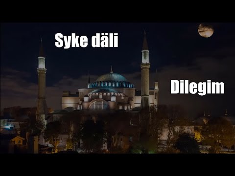 Syke dali - Dilegim (Aýdym sözleri)