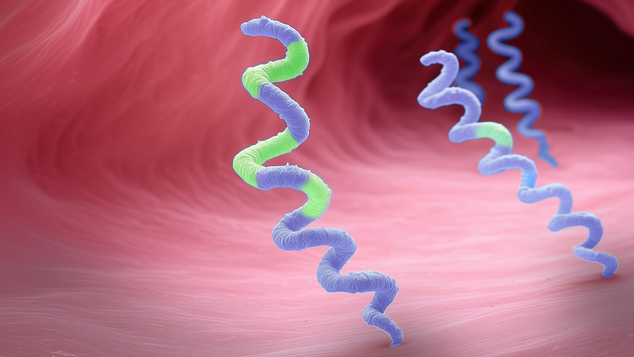 Syphilis Is Changing Like We've Never Seen... In Seattle