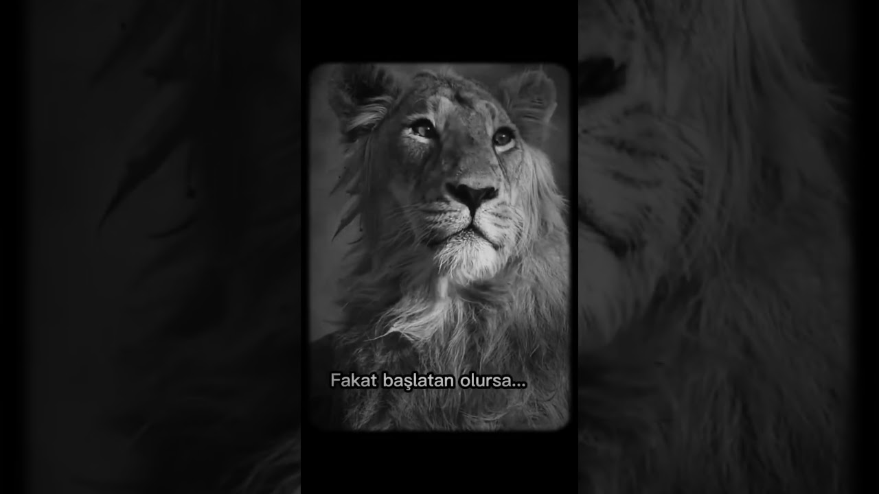 #sözler #keşfet #youtubeshorts #anlamlısözler #sözlerköşkü #atarlısözler #racon #aslan