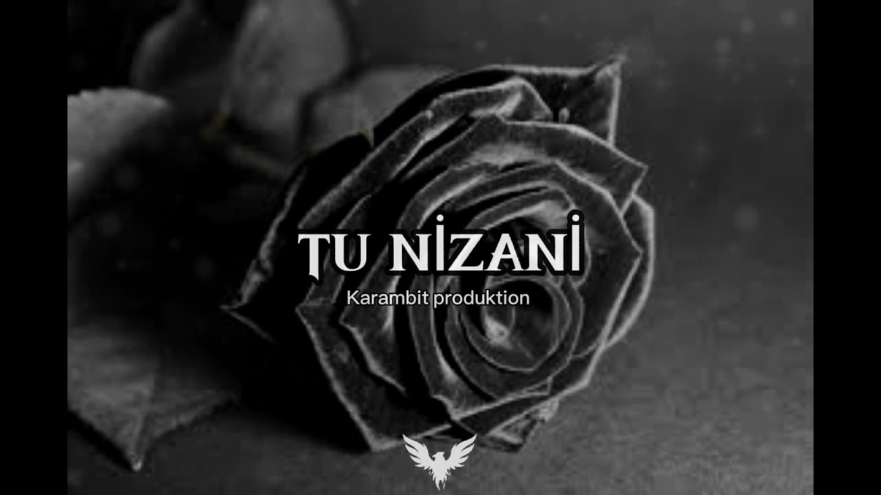 TÜ NİZANİ- Kurdish trap remix/prod.karambit/