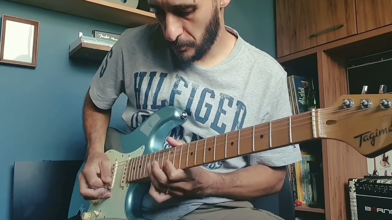 Tagima TG530 (all stock) vs 'Generic Strat' (Sergio Rosar Noiseless pickups) - Quick video