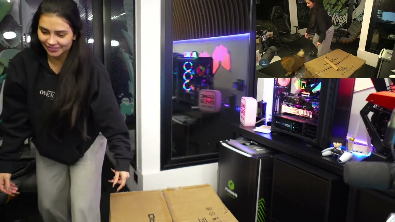 TAINA VAZOU EM LIVE
