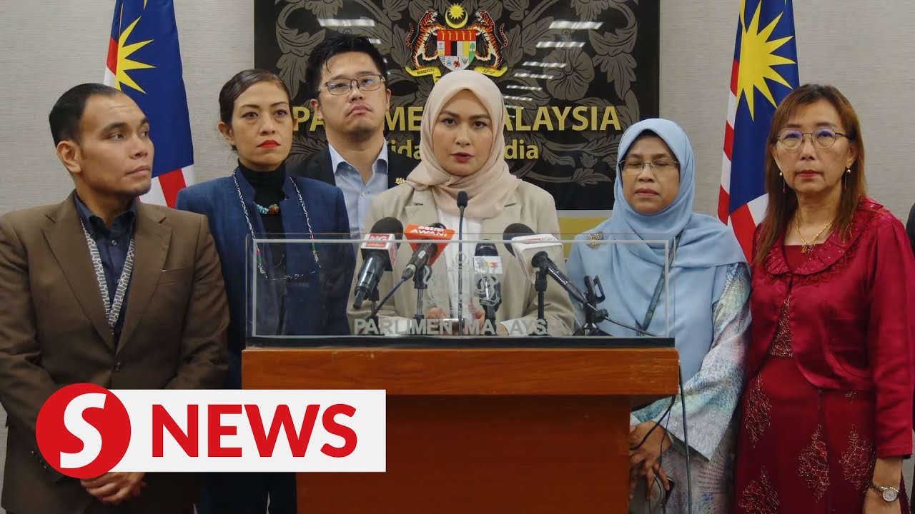 Take stern action or sexist remarks by MPs will never end, says Young Syefura