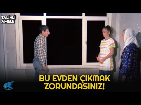 Talihli Amele Türk Filmi | Mehmet Ali'yi Evden Atıyorlar!