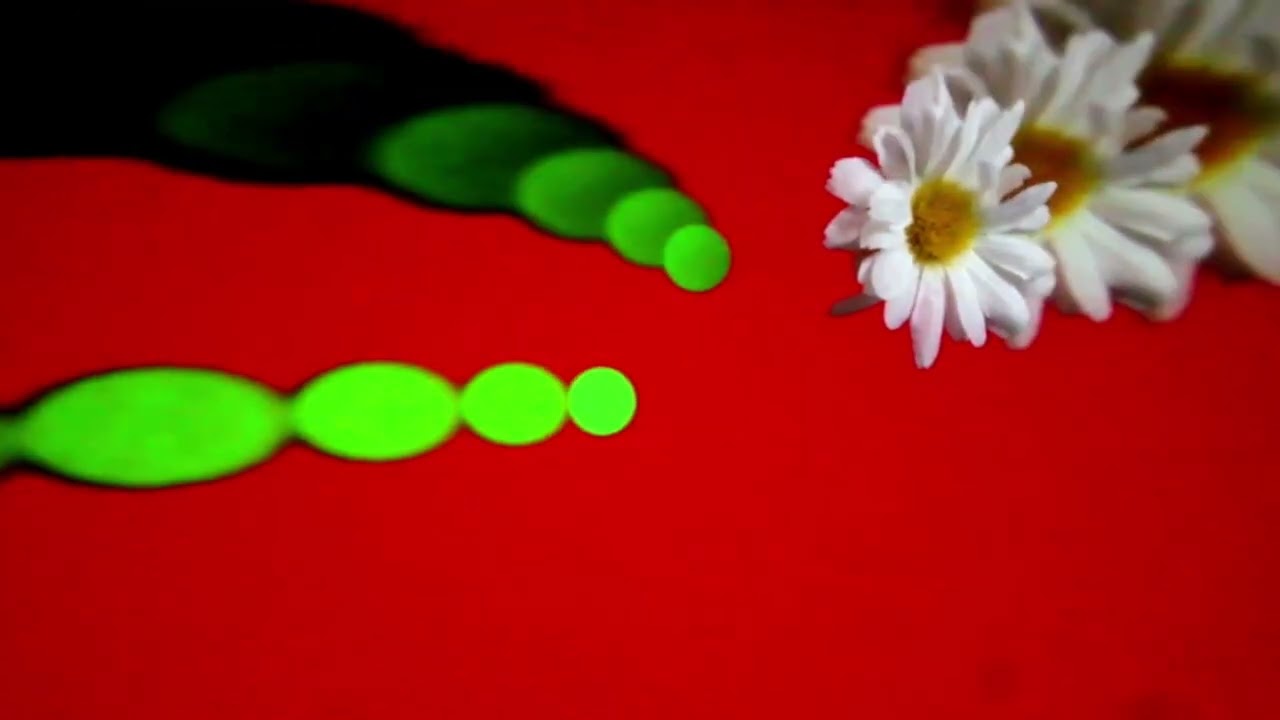 Talik - Kundalini [Official Video]