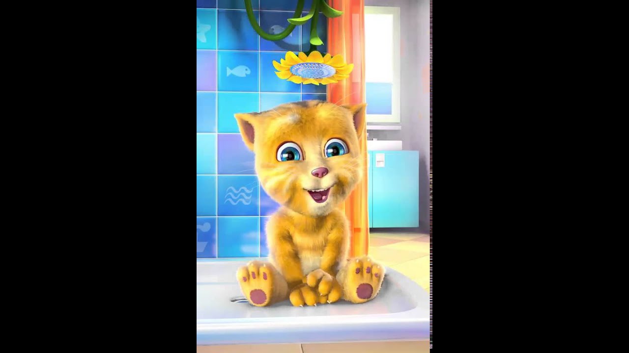 Talking Ginger Nove tik tok