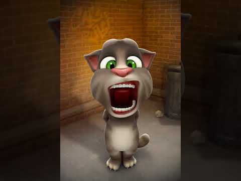 Talking Tom Cat 1: Feed me, Feed me a pepper and popsicle