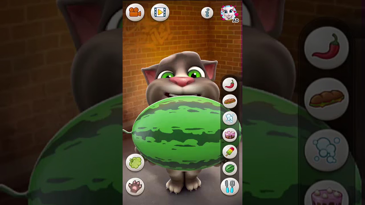 Talking Tom Cat 2 - The Bast Funny Tom Video 6