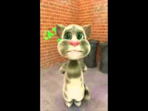talking tom cat singing if  you are happy