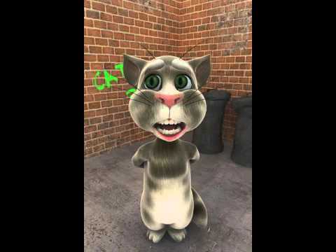 Talking Tom miztak