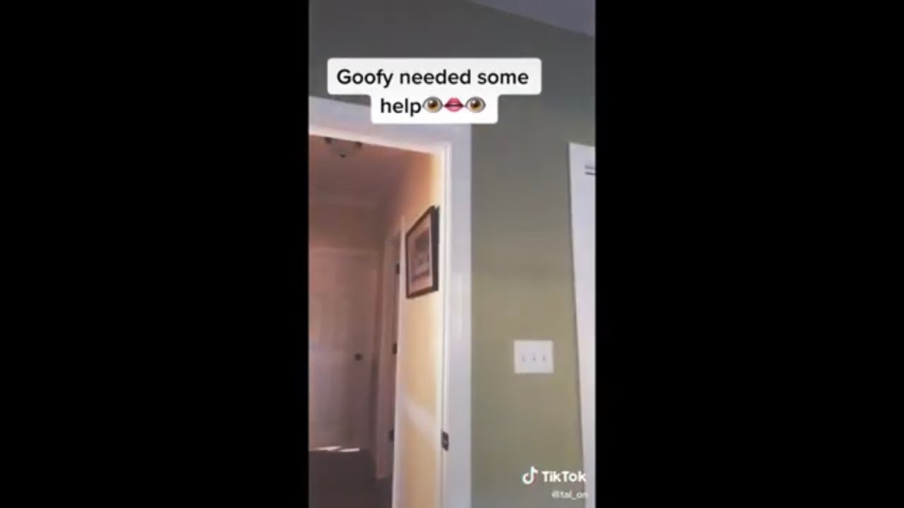 Tal_on TikTok Compilation (REUPLOAD)