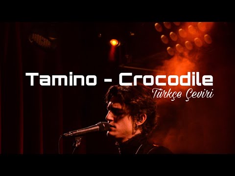 Tamino - Crocodile Lyrics Turkish Translation (Türkçe Çeviri)