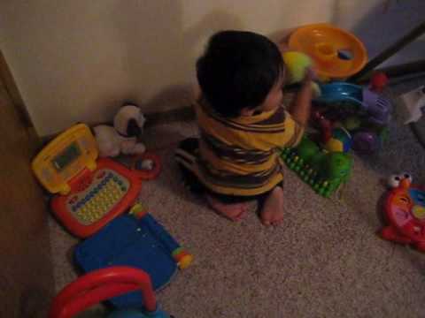 Tamir Playtime