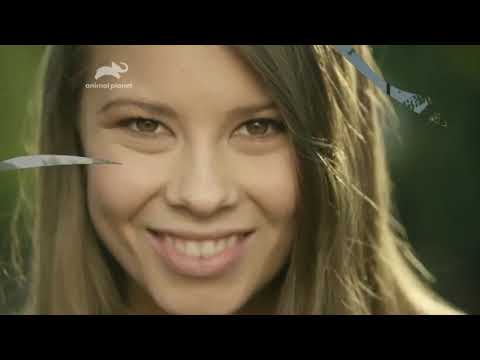Tandas Comerciales Animal Planet Latinoamérica | Febrero 2019