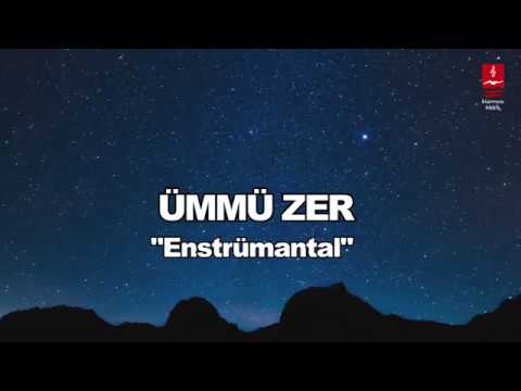 Taner Demiralp & Dursun Ali Erzincanlı 