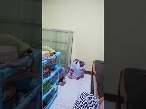 Tante Beres beres kamar, kepo ah #SAENATV #TANTE