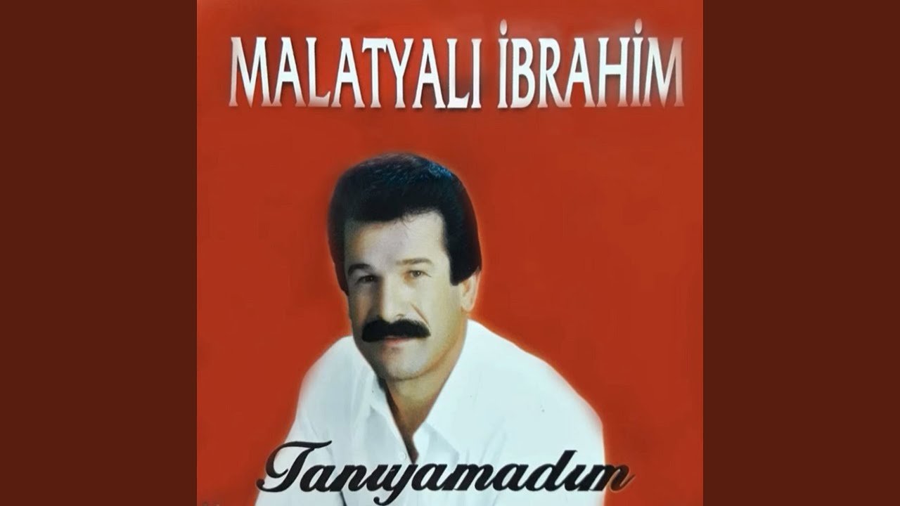 Tanıyamadım