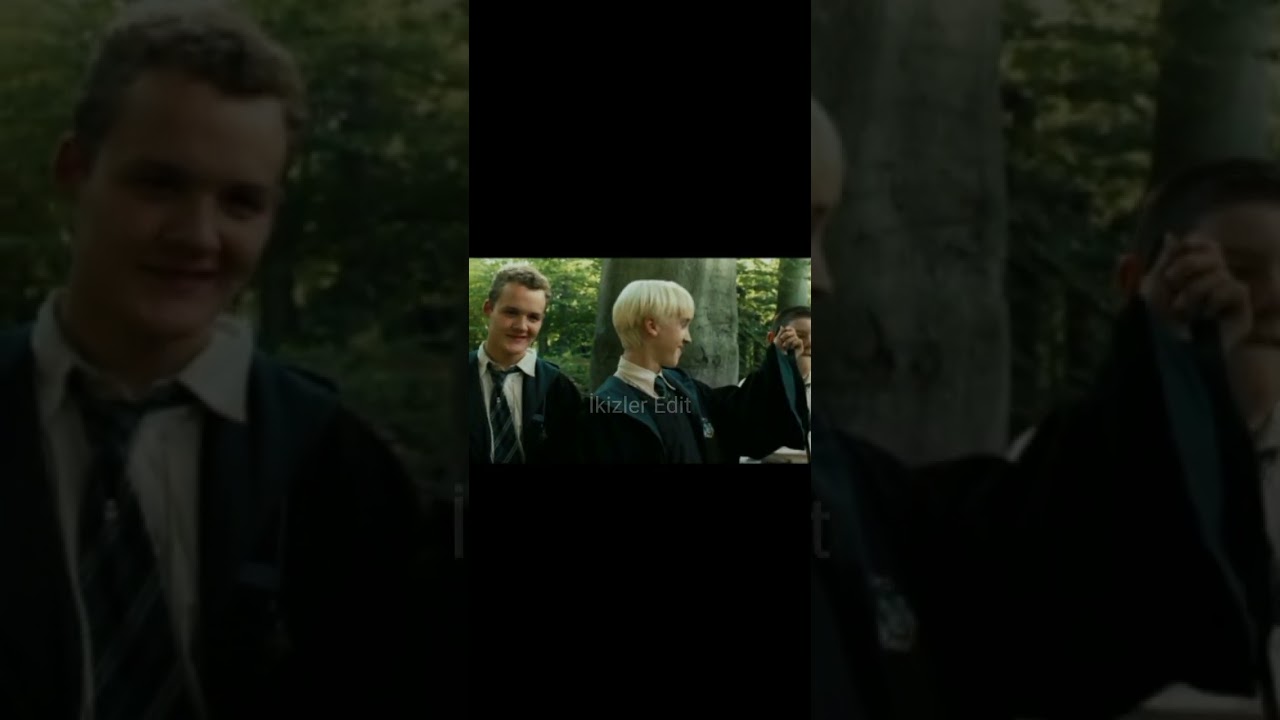 Tarkan Dudu dudu-Harry Potter