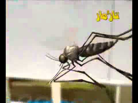 TarOMar Insecticide - II