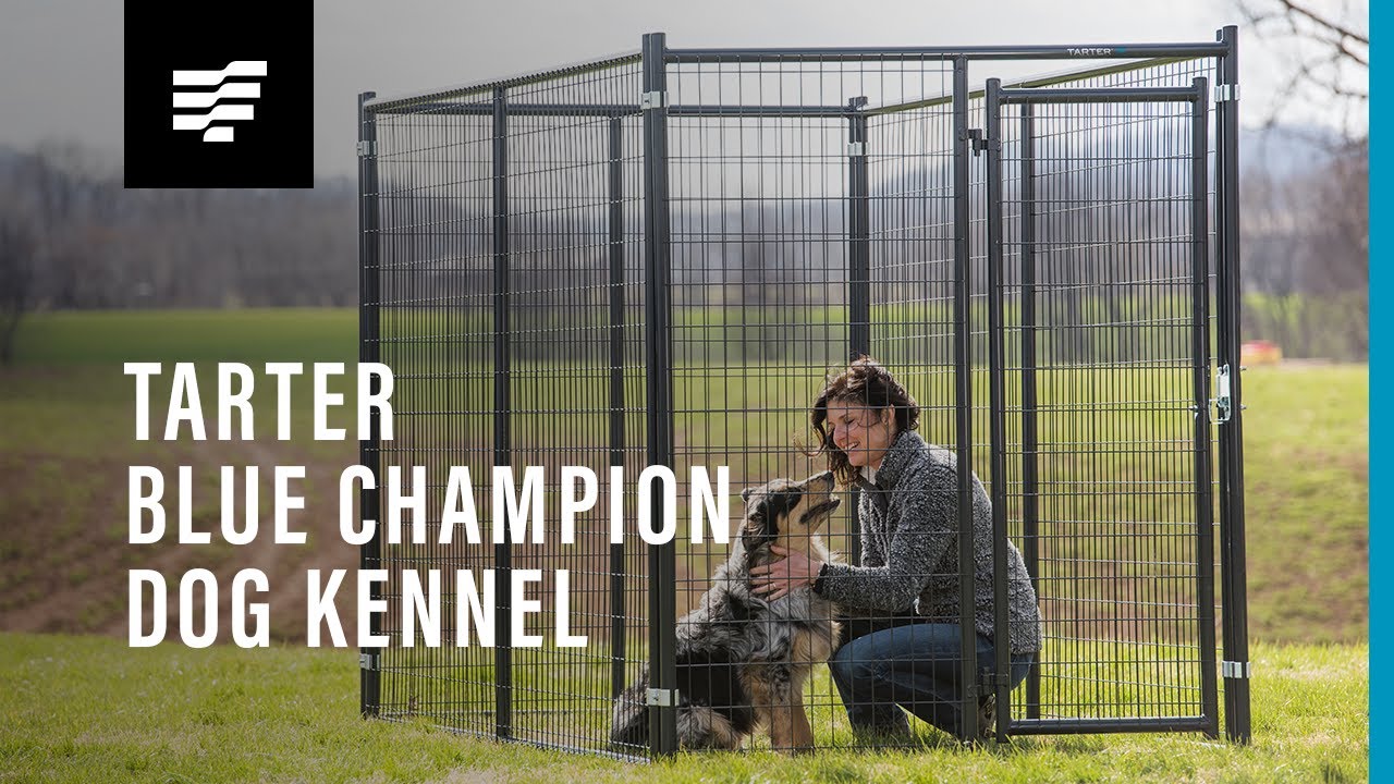 TARTER: Blue Champion Dog Kennel