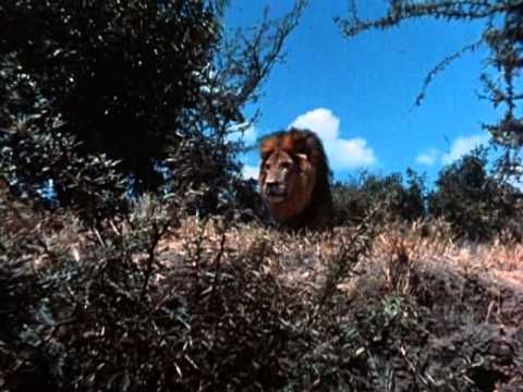 Tarzan  (1966 TV Series) Full Intro and Opening Title Theme (a.k.a. 