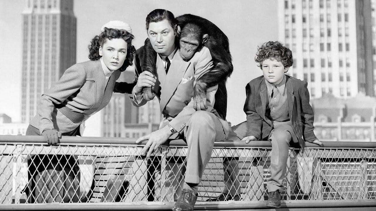 Tarzan's New York Adventure (1942) Is One Of The Best!