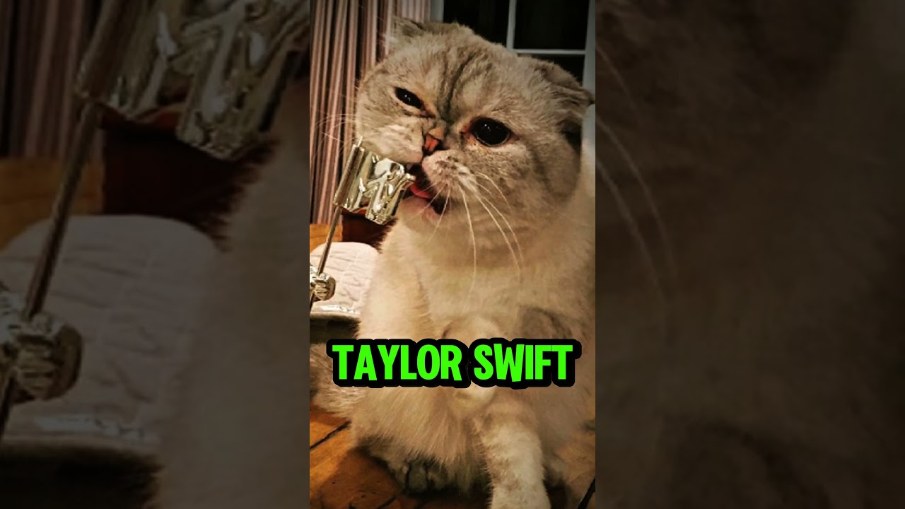 Taylor Swift’s Cat Made $97M Without a Job… Let That Sink In 🐱💰