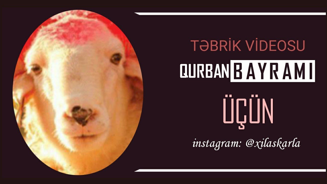 Təbrik videosu - Qurban bayramı üçün