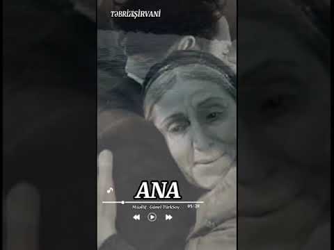 TƏBRİZ ŞİRVANİ.
