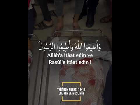 Teğabun Suresi 11-13 ᴴᴰ Raad Al Kurdy -Musibetten (size) isâbet eden,ancak Allâh'ın izniyledir