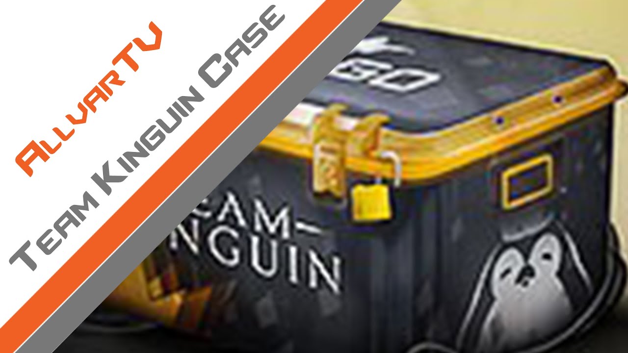 Team Kinguin Case opening | Best Kinguin case yet? | Kinguin aquire ex-CSGL (CS:GO random skins)