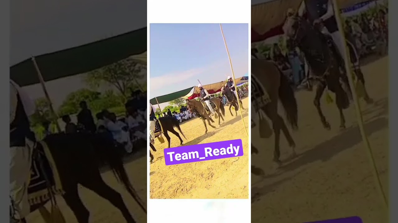 Team Ready for Naiza baze! Azad Horse Ridding club