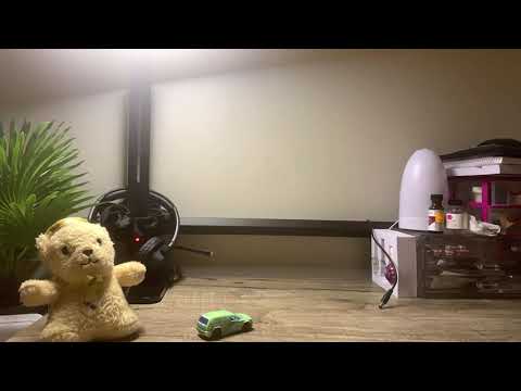 Teddy’s Day Out | Animation Proj 1