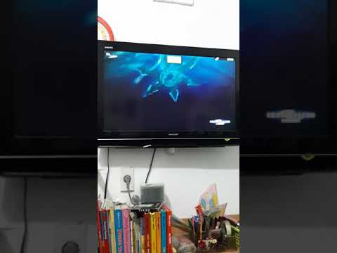 Teenage Mutant Ninja Turtles: Out of the Shadows - Fox Family Movies Intro