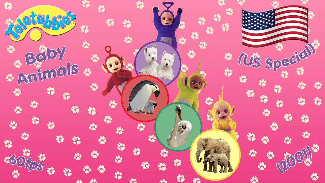 Teletubbies: Baby Animals (2001 - US) • 60p