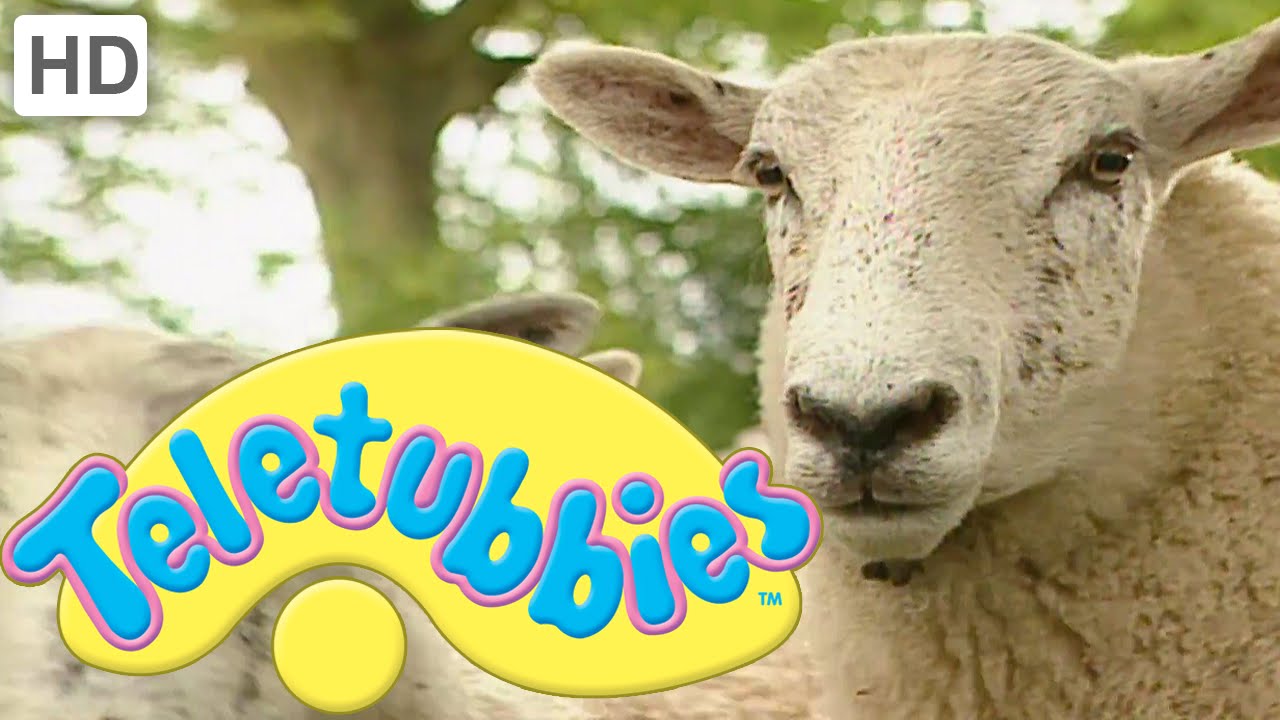 Teletubbies: Herding Sheep - Full Episode