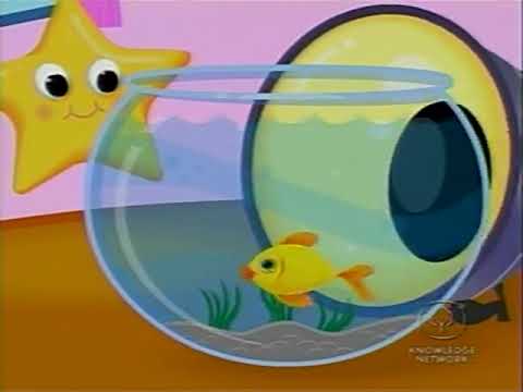 Telly TV Bumper Fish Again