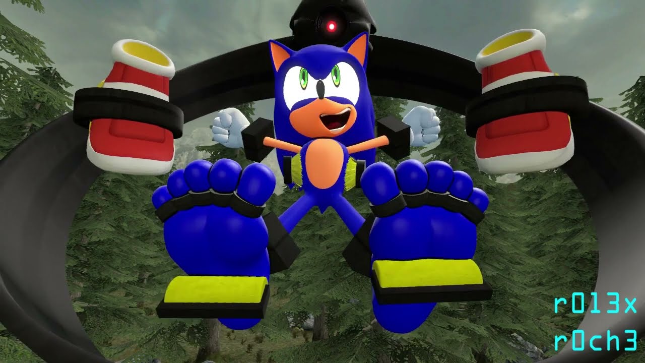 [TEN SECONDS OF TICKLE] - SONIC'S KUSUGURI ENCOUNTER