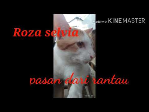 TERBARU 2020| ROZA SELVIA 