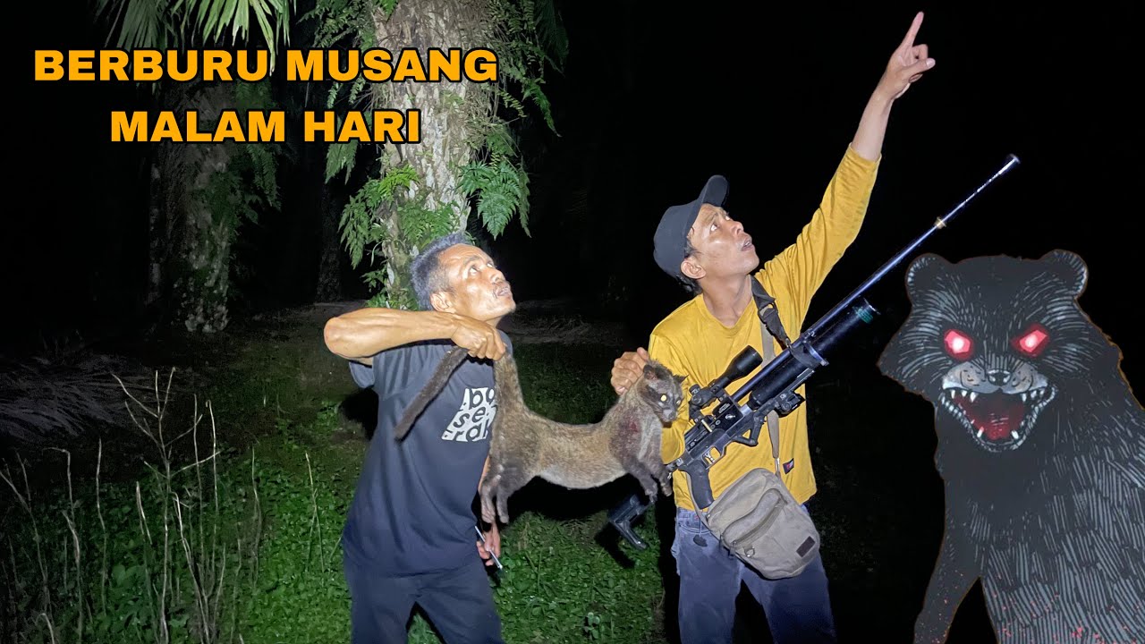 TERKEJUT || BABI HUTAN MUNCUL SAAT KAMI BERBURU MUSANG⁉️