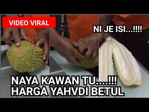 Terkejut Brader Ni Tengok Isi Durian Musang King  || Malaysian Musang King Durian