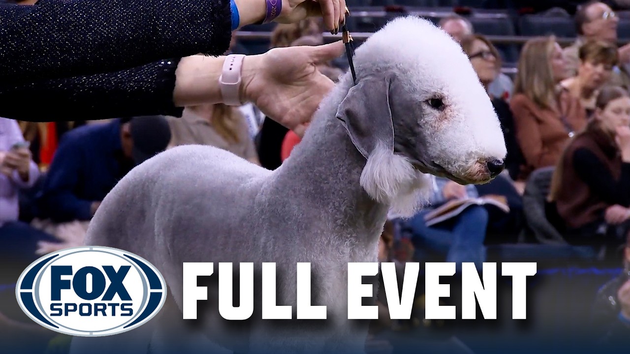 Terrier Group Judging 2025 | FULL EVENT | Westminster Kennel Club